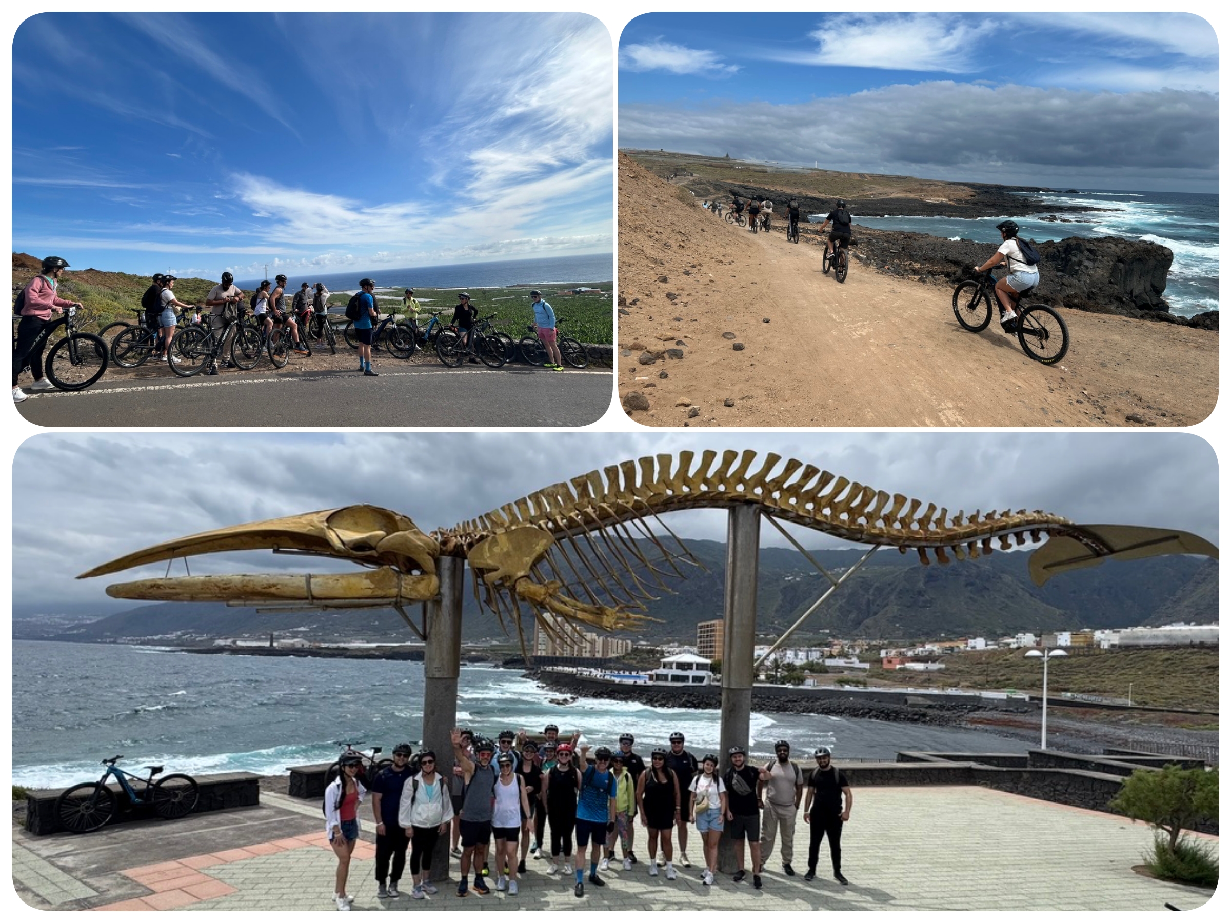 Foto Tour isla baja general