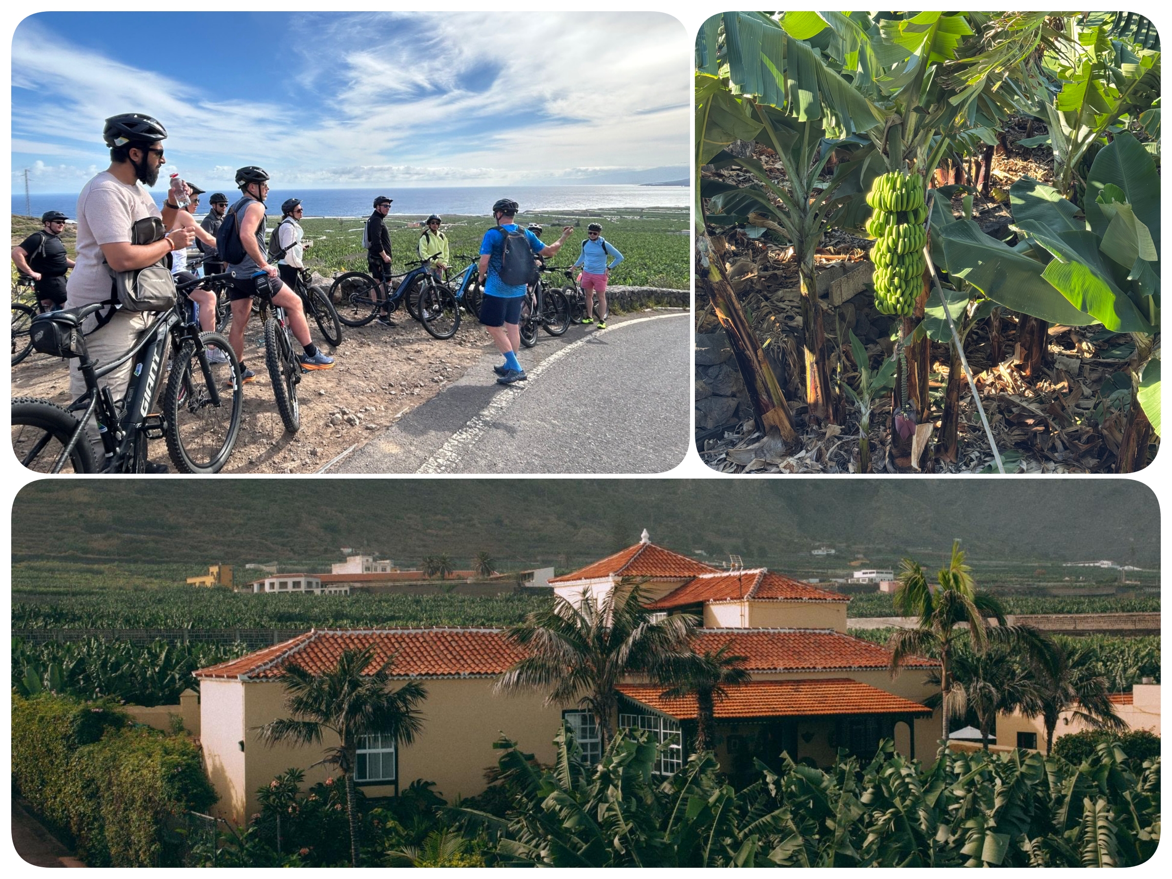 Plátano tour Foto 1